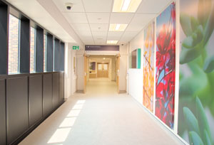 Hallway to chemotherapy reception features natural light and artwork